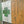 Irish Shamrock Flag