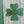 Irish Shamrock Flag