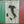 Italian Flag "The Boot"