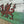 Wales Flag