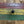 Republic of Ghana Black Star Flag