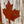 Canadian Flag