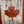 Canadian Flag